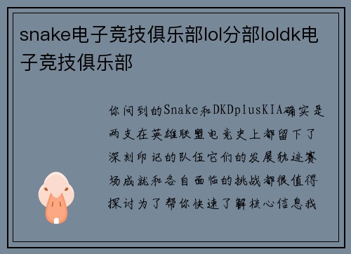 snake电子竞技俱乐部lol分部loldk电子竞技俱乐部